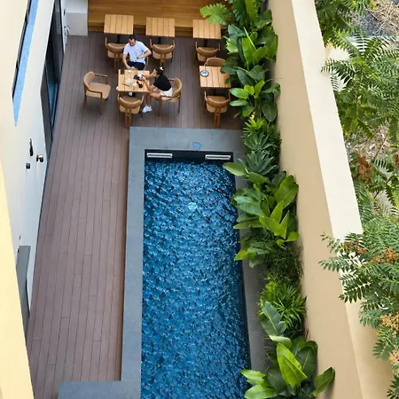 New Delightful Apartment-3